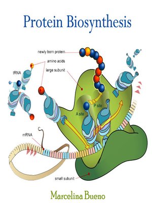 cover image of Protein Biosynthesis